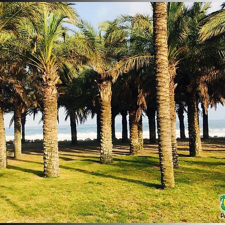 Palmeras Del Golf - Torrequebrada Benalmádena Værelse billede